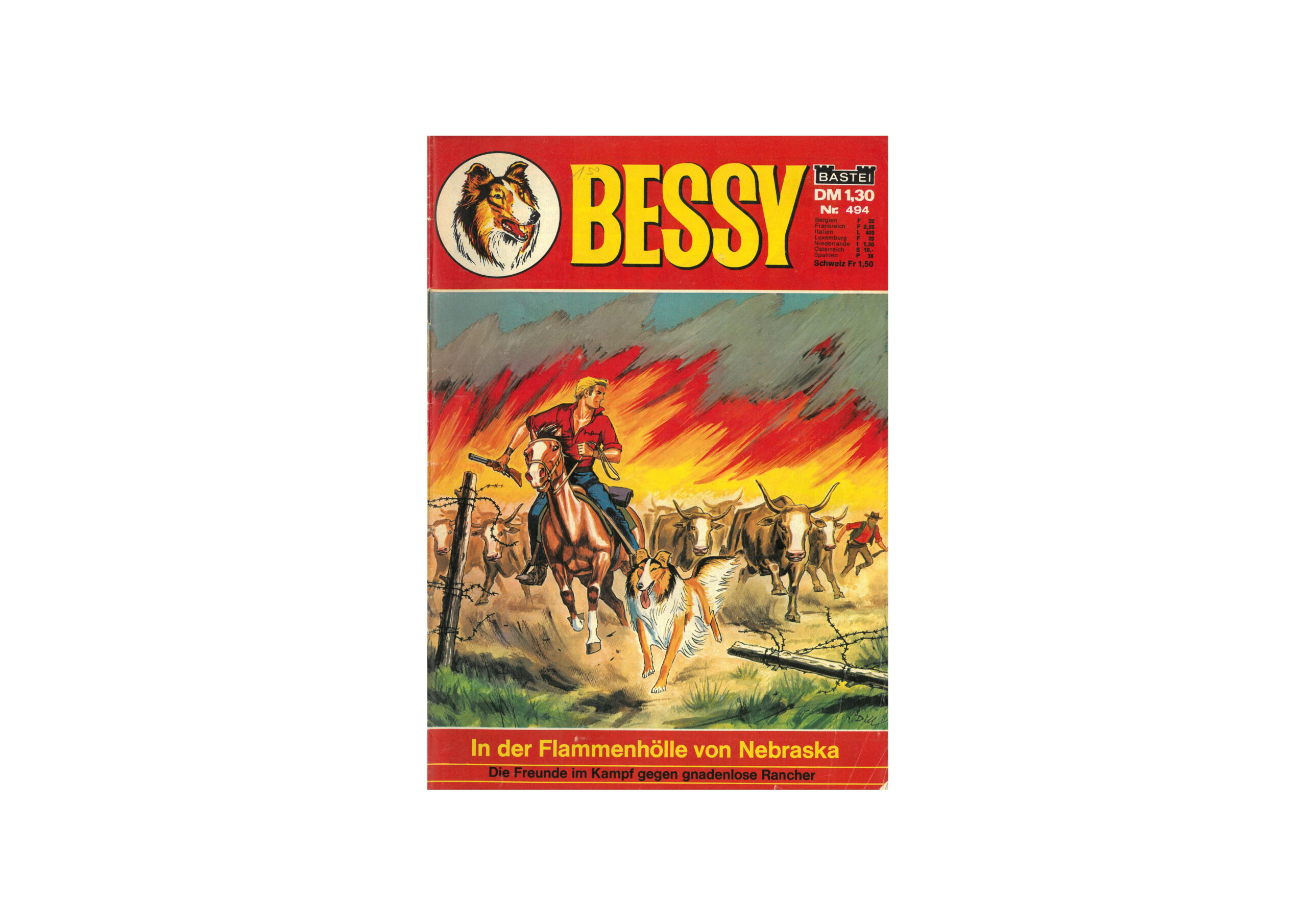 Bessy Nr. 494 – In der Flammenhölle von Nebraska